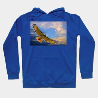 Soaring with the Clouds Hoodie